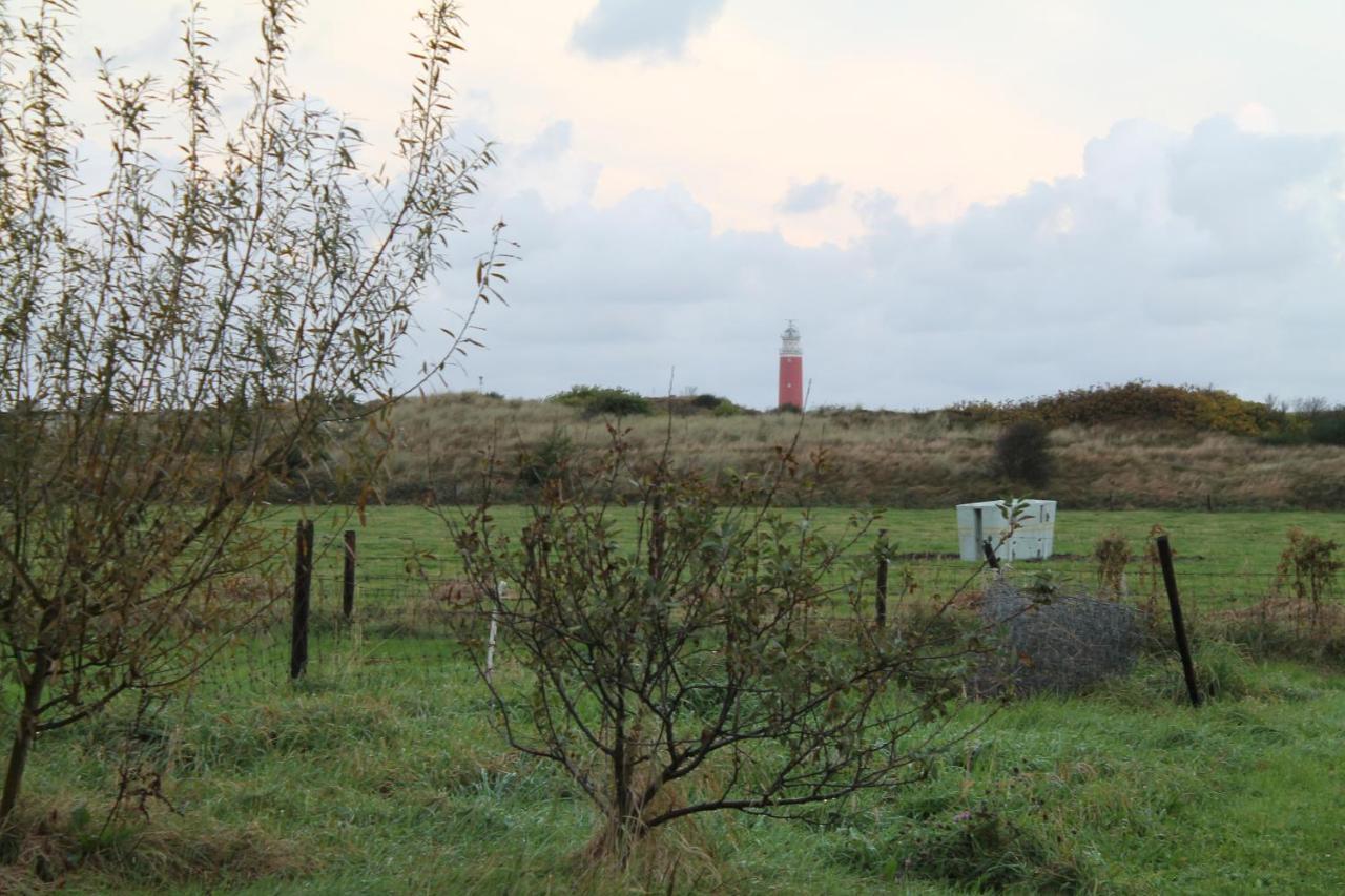 Apartamento Boerderij De Duinen 111 De Cocksdorp  Exterior foto
